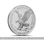 How Big Is a 1 oz Silver Coin? Size Facts Explained